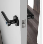 Zinc Alloy Smart Electric Fingerprint Door Handle — Keypad, Fingerprint & App Control